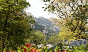 原创 
            我国北方,绝大多数庙堂大门是朝南开的,为什么崂山太清宫朝东开